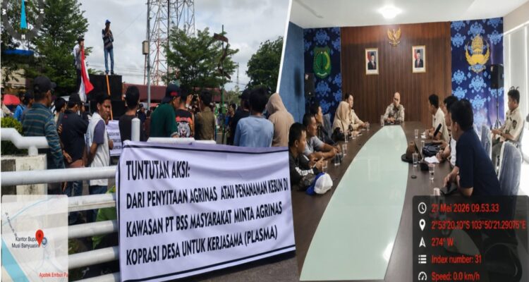 IMG-20260521-WA0095(1)
